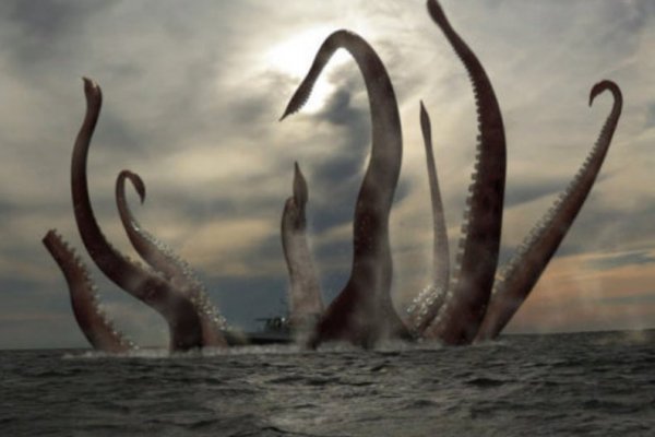 Http kraken2