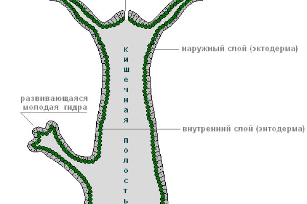 Кракен шоп даркнет